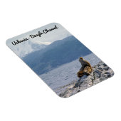 ビーグル海峡にアシカの海 – Argentina マグネット (右側)