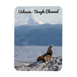 ビーグル海峡にアシカの海 – Argentina マグネット