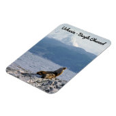 ビーグル海峡にアシカの海 – Argentina マグネット (左側)