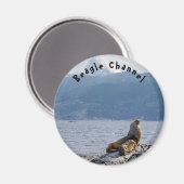 ビーグル海峡にアシカの海 – Argentina マグネット (正面/裏面)