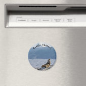 ビーグル海峡にアシカの海 – Argentina マグネット (インサイチュ (食洗機))