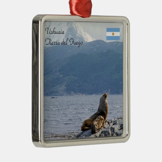 ビーグル海峡にアシカの海 – Argentina メタルオーナメント (右)