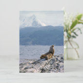 ビーグル海峡にアシカの海 – Argentina 招待状 (スタンド正面)