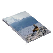 ビーグル海峡のアシカ-アルゼンチン ノートブック (右側)