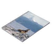 ビーグル海峡のアシカ-アルゼンチン ノートブック (左側)