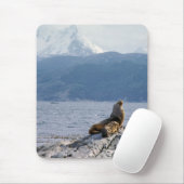 ビーグル海峡のアシカ-アルゼンチン マウスパッド (マウス)