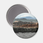 ビーグル海峡 マグネット (正面/裏面)