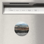 ビーグル海峡 マグネット (インサイチュ (食洗機))