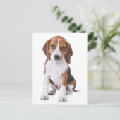 ビーグル犬のグリーティングポストカード ポストカード (スタンド正面)