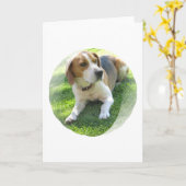 ビーグル犬のハウンドドッグの挨拶状 カード (黄色い花)