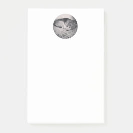 ビーグル犬のポスト・イット ポストイット