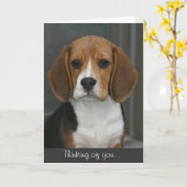 ビーグル犬のポートレートカード カード (黄色い花)