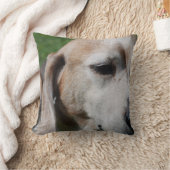 ビーグル犬のポートレート クッション (ブランケット)