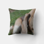 ビーグル犬のポートレート クッション (裏面)