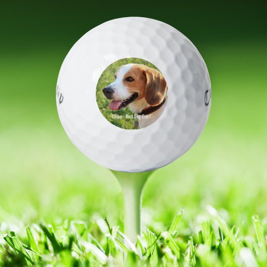 ビーグル犬の写真と名前のカスタマイズ ゴルフボール