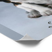 ビーグル犬の写真 ポスター (角)