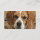 ビーグル犬の名刺 名刺 (裏面)