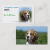 ビーグル犬の名刺 名刺 (正面/裏面)