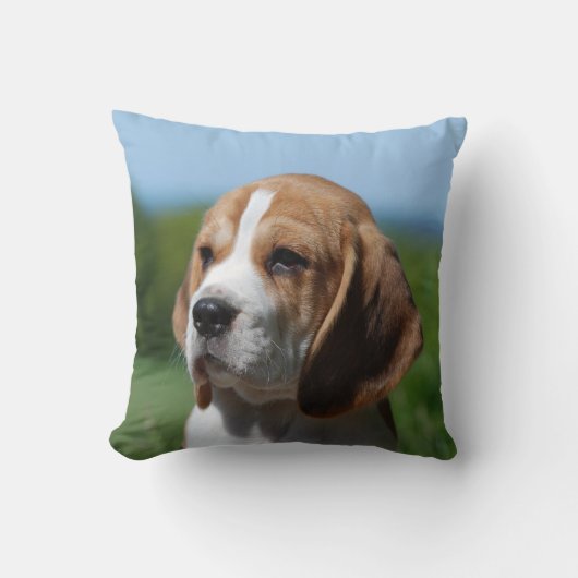 ビーグル犬の子犬の枕 クッション (正面)