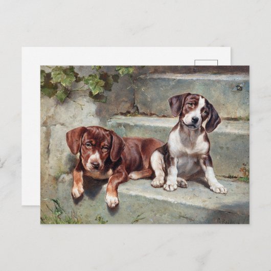 ビーグル犬の子犬ヴィンテージ動物はがき ポストカード (正面/裏面)