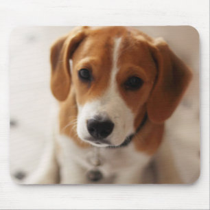 ビーグル犬の子犬2 マウスパッド