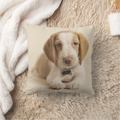 ビーグル犬の子犬 クッション (ブランケット)