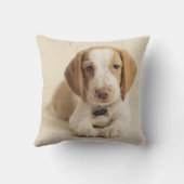 ビーグル犬の子犬 クッション (裏面)