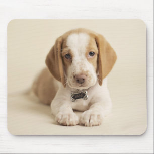 ビーグル犬の子犬 マウスパッド