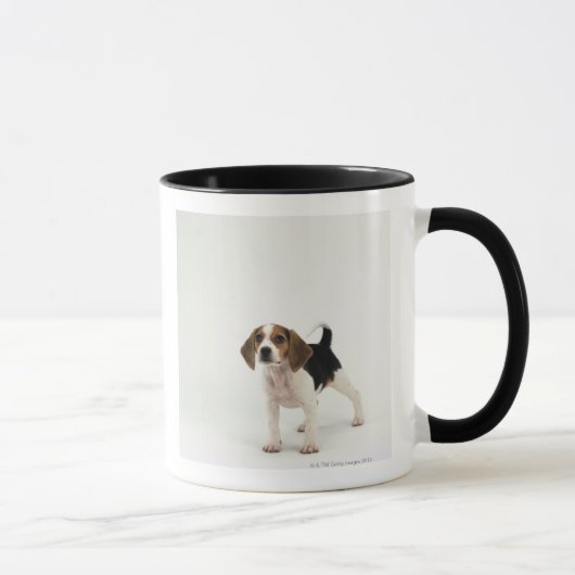 ビーグル犬の子犬 マグカップ (右)