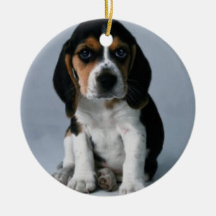 ビーグル犬の小犬の写真 セラミックオーナメント