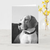 ビーグル犬の挨拶空白のカード カード (黄色い花)