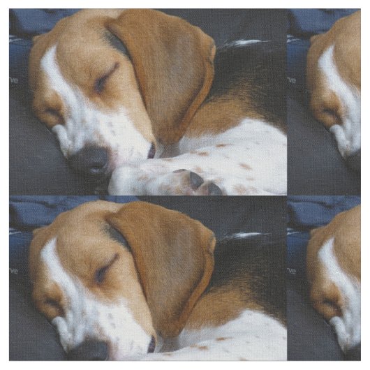 ビーグル犬の睡眠 ファブリック (クローズアップ)
