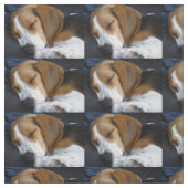 ビーグル犬の睡眠 ファブリック (見本)