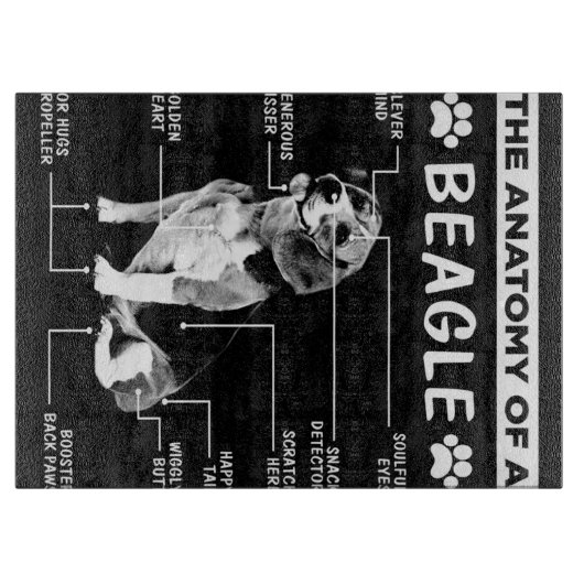 ビーグル犬の解剖学 カッティングボード (正面)