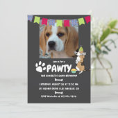 ビーグル犬の誕生日フォト招待状 招待状 (スタンド正面)