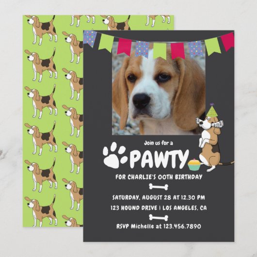 ビーグル犬の誕生日フォト招待状 招待状 (正面/裏面)