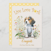 ビーグル犬の里親募集、ガットチャデイ