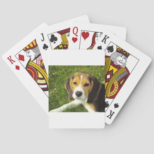 ビーグル犬ペット動物平和愛 トランプ (裏面)
