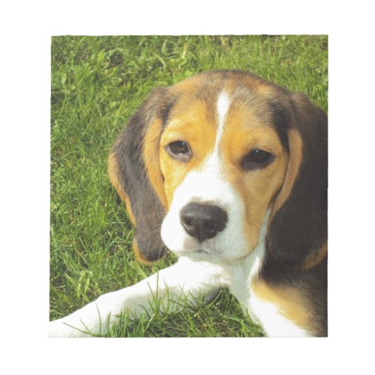 ビーグル犬ペット動物平和愛 ノートパッド (正面)
