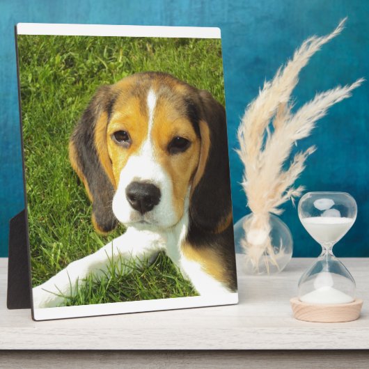 ビーグル犬ペット動物平和愛 フォトプラーク (側面)