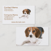 ビーグル犬犬の名刺 名刺 (正面/裏面)