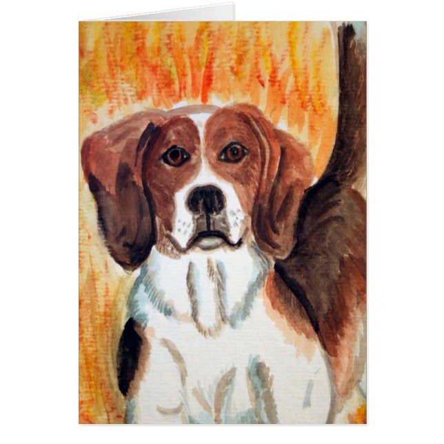 ビーグル犬 (正面)