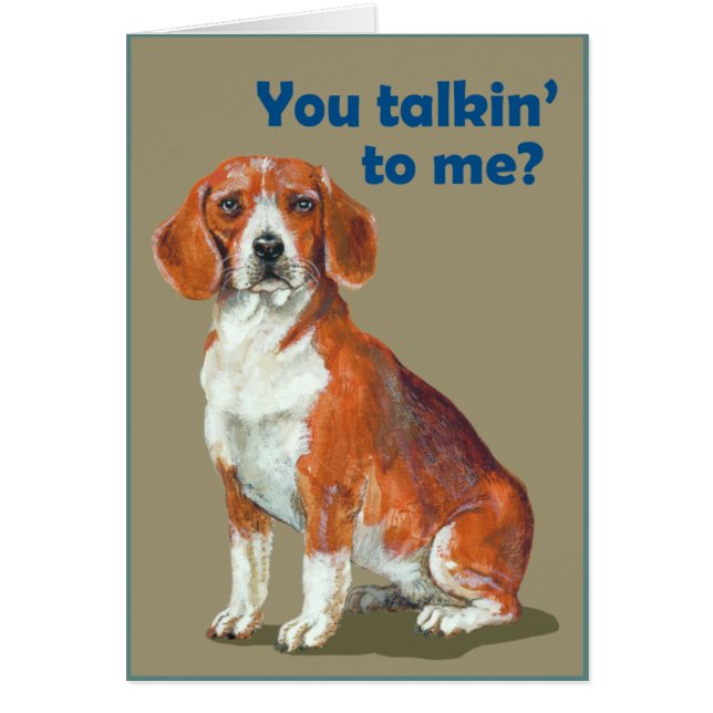 ビーグル犬 (正面)