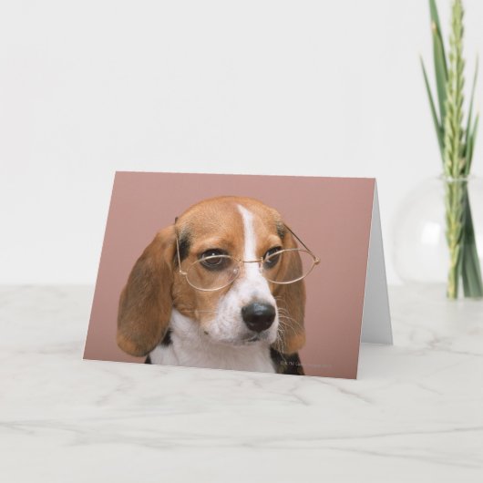 ビーグル犬 カード (正面)