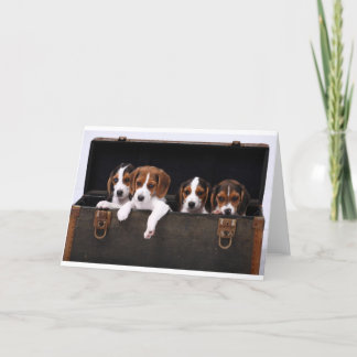 ビーグル犬 カード