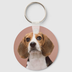 ビーグル犬 キーホルダー