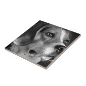 ビーグル犬 タイル (側面)