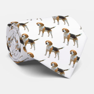 ビーグル犬 ネクタイ