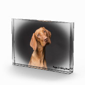 ビーグル犬。 フォトブロック (右)