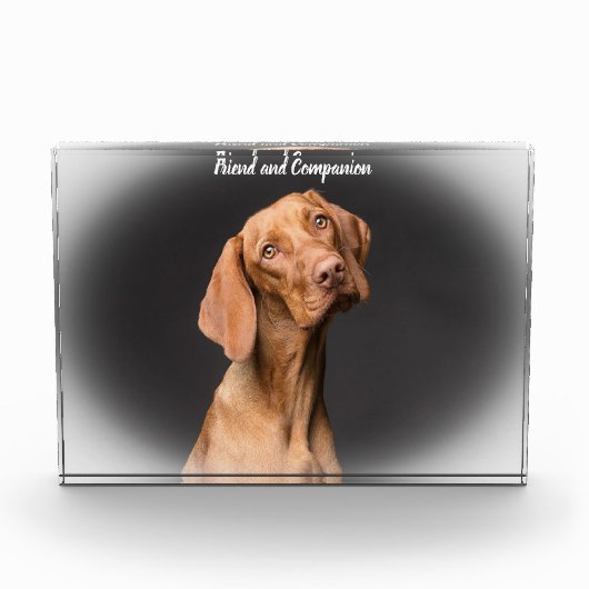 ビーグル犬 フォトブロック (正面)